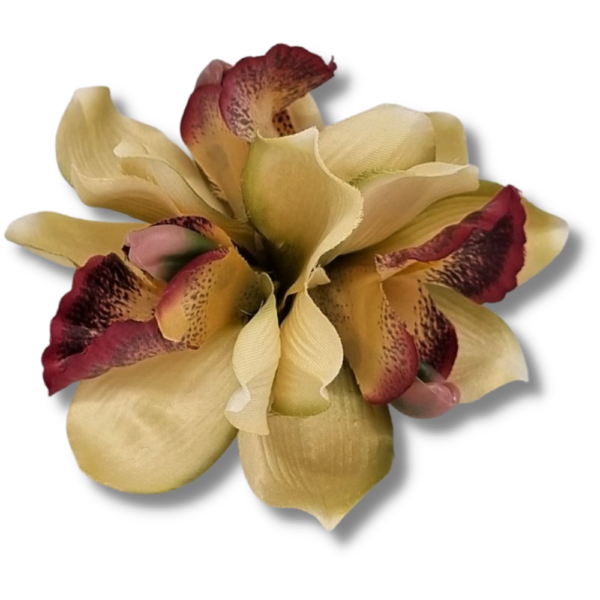 Medium Cymbidium Orchid Hair-clip Brooch - Image 10