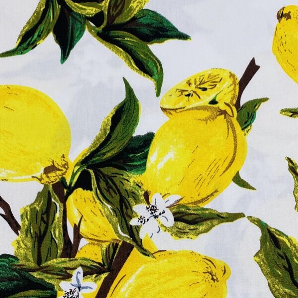 Natasha Swing Dress - Lemon Blossom on White - Image 5